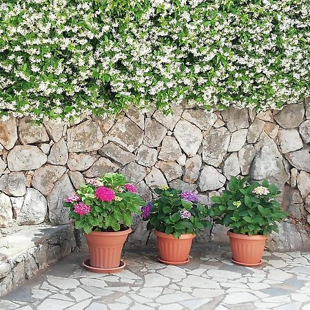 Villa Gromaca Omišalj Εξωτερικό φωτογραφία